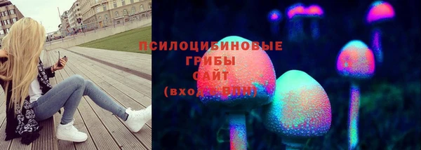 spice Козельск