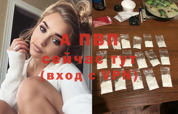 spice Козельск